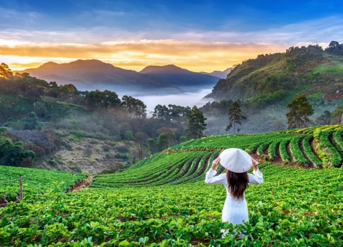 Exploring Vietnam in May: Top Destinations and Travel Tip