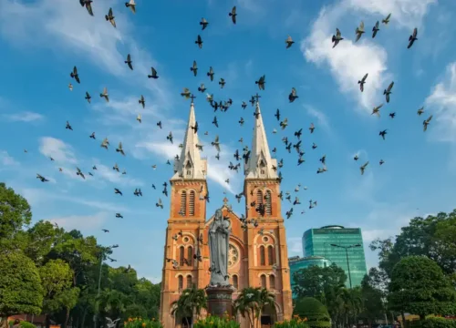 Half-day Notre Dame Cathedral & Pagodas of Ho Chi Minh City