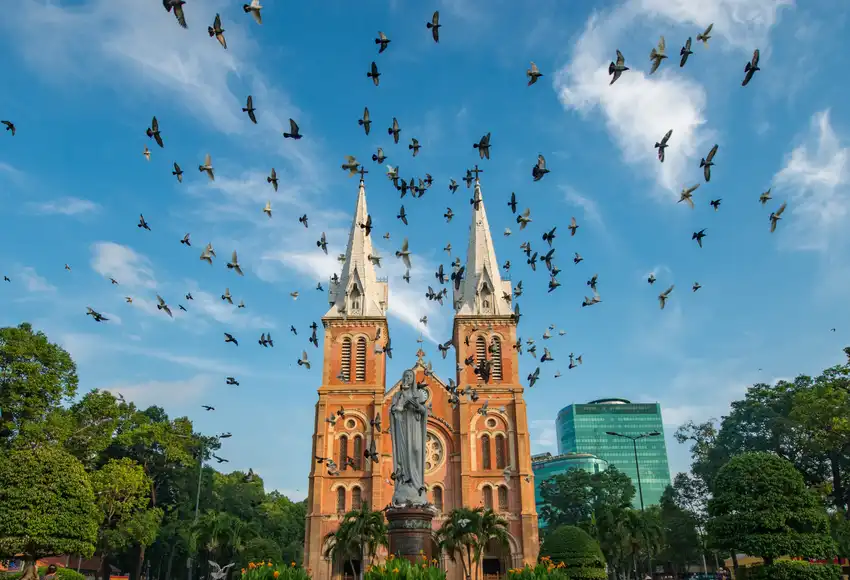 Half-day Notre Dame Cathedral & Pagodas of Ho Chi Minh City