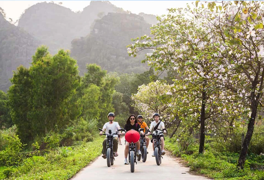 Vietnam Journey To Inner Balance - Wellness & Meditation Retreat